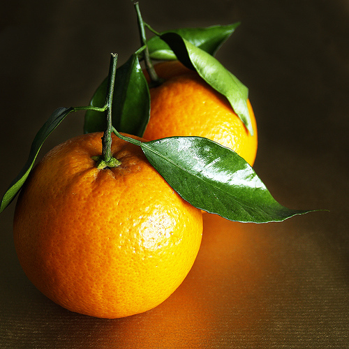 Watch a Christmas orange eat itself on…er… live TV